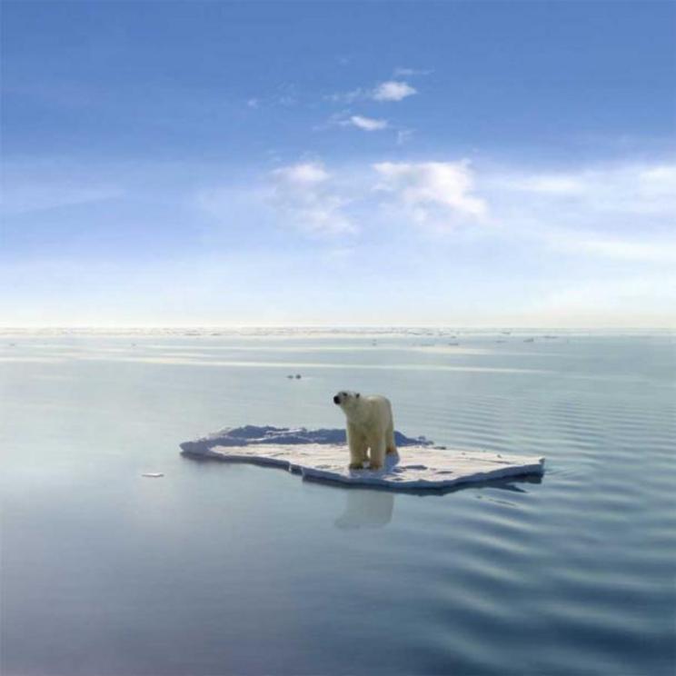 Scientists blame humans for climatic events which are leading to the extinction of many species, such as the polar bear, poster child for environmental action.