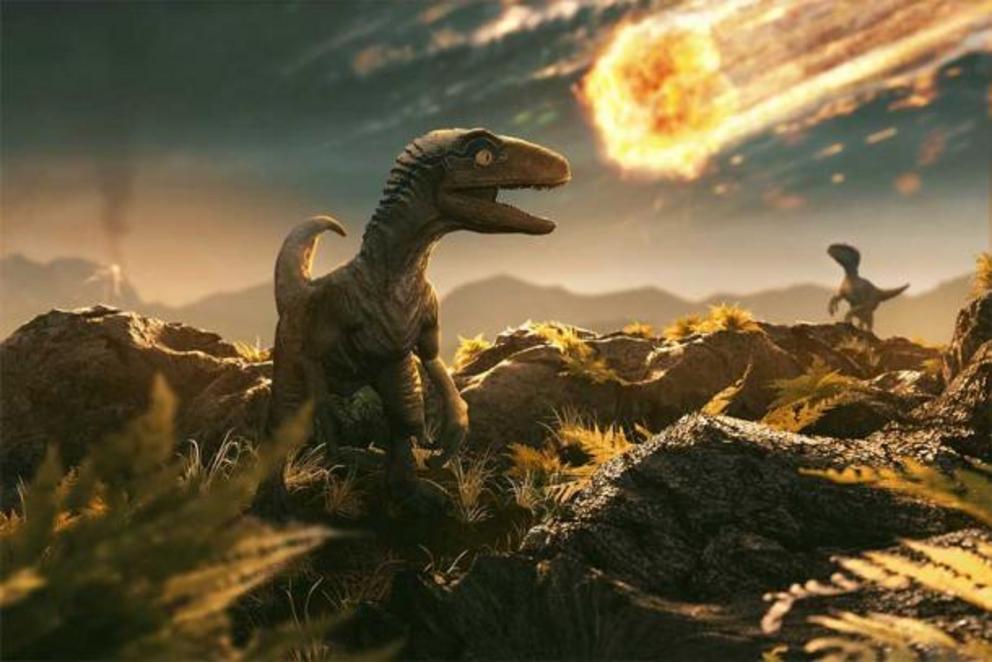 Earth has experienced five mass extinctions before the current Holocene extinction, including the Cretaceous-Tertiary extinction which scientists believe saw a meteorite wipe out the dinosaurs.