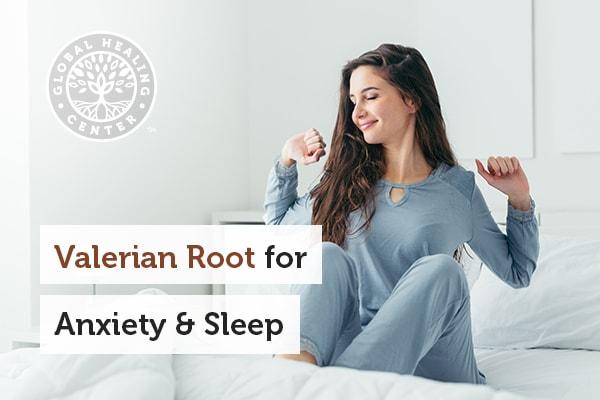 Valerian Root For Sleep And Anxiety: Five Calming Benefits Explained ...