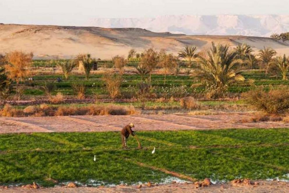 Ancient Egypt was highly dependent on irrigation to survive in the desert