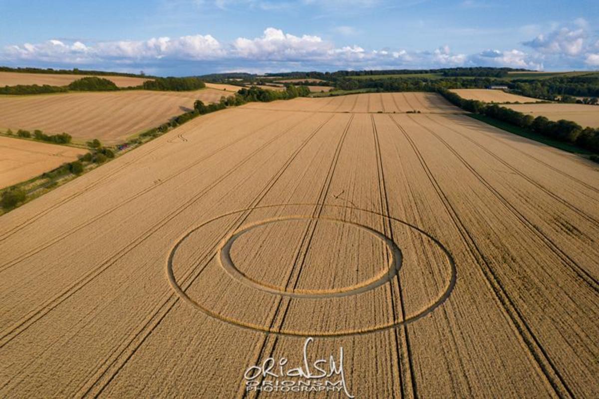 Near circle. Круги на полях Англия Уилтшир. Круги на полях. Круги на полях фото. Roman circle.