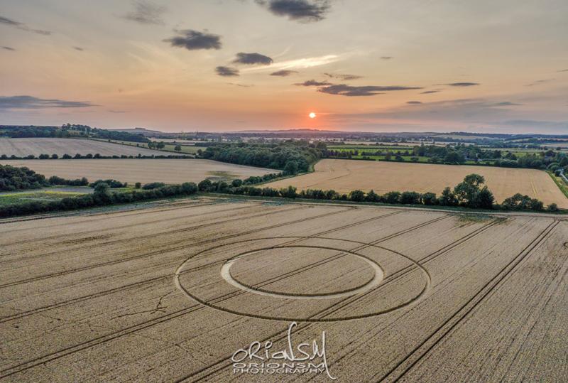 Crop circle: Roman Road, near Marten, Wiltshire - Nexus Newsfeed