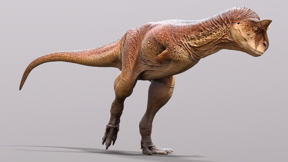 A new artist's reconstruction of Carnotaurus, with scaly skin.