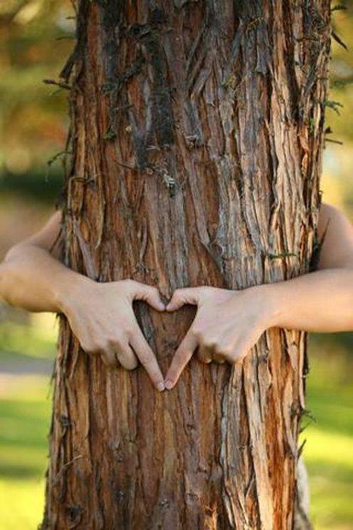 A 21st-century tree hugger in Austin, Texas. Today, the term tree hugging means more than just hugging trees. It also means valuing trees for what they give human societies.