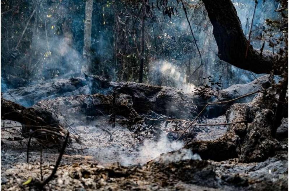 Vicious cycle: Downed trees are left smoldering after succumbing to a forest fire. Once fire begins to encroach on areas in the Amazon that have not been burned, it makes them more susceptible to burning in the future.