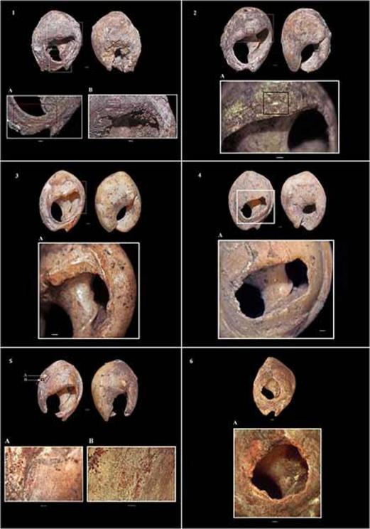 Fig. 6 from the study showing photographs of Aterian sea snail shell beads from layer 4c at the Moroccan cave dig site. These beads are now considered to be the world’s oldest jewelry pieces.