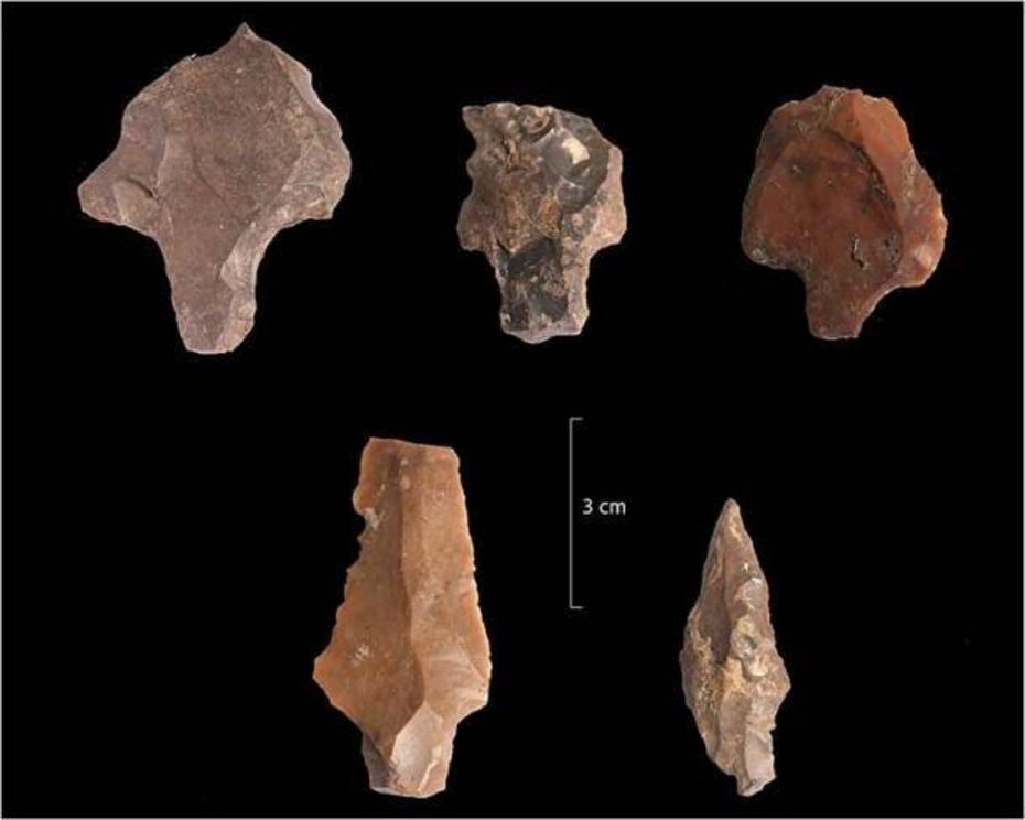 Fig. 3 from the study showing five tanged Aterian culture artifacts from layer 4c at Bizmoune Cave.