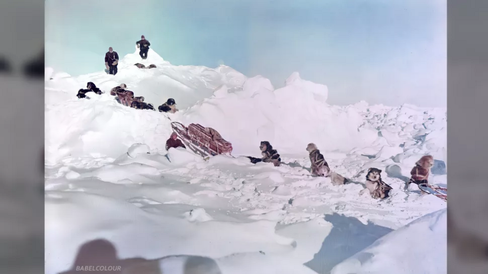 Members of Shackleton's crew with their sled dogs. Caring for the dogs was a major activity during the time when the crew was iced-in. At first, the animals lived in 