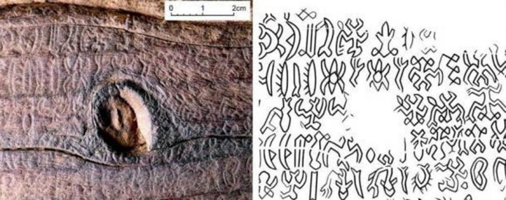 Details of the symbols on the rongorongo tablet.