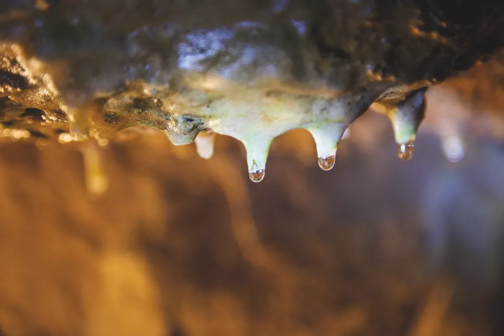 Each drop of water contains dissolved limestone particles. They harden when they hit air.