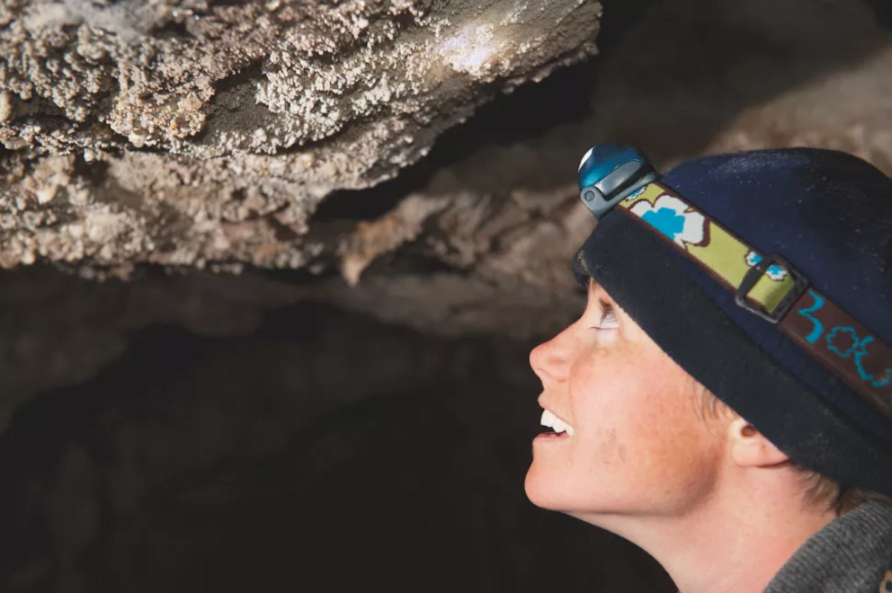 The bumps on the wall of this cave are called cave popcorn.