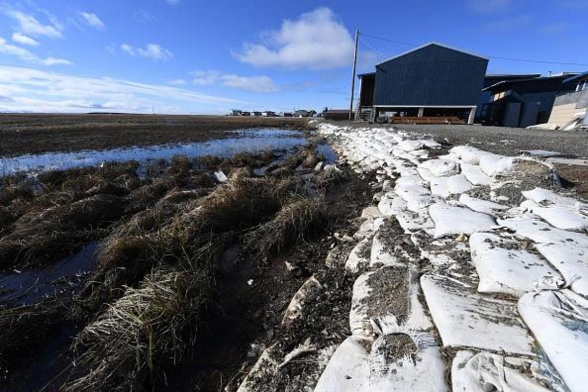 Permafrost sols. Siberian Permafrost. Pao Foundation Alyaska environment. Permafrost DC. Permafrost Raider.