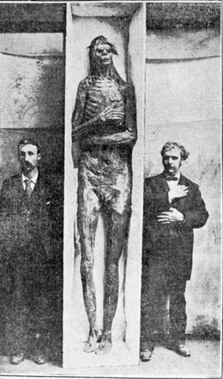 The San Diego giant was purchased by the Smithsonian for $500 (over $14,000 in today’s money) in 1895, although they later claimed it was a hoax. 