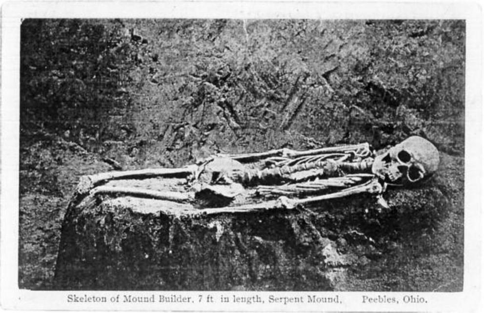 The 7 ft skeleton from Serpent Mound cut off at the knees.