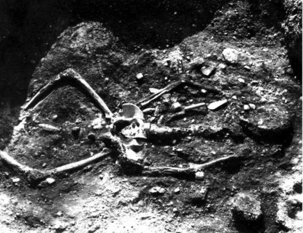 7ft 2 inch skeleton with top part of skeleton burnt.