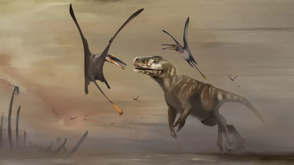 During its lifetime about 170 million years ago, Dearc sgiathanach would have lived alongside meat-eating theropod dinosaurs.