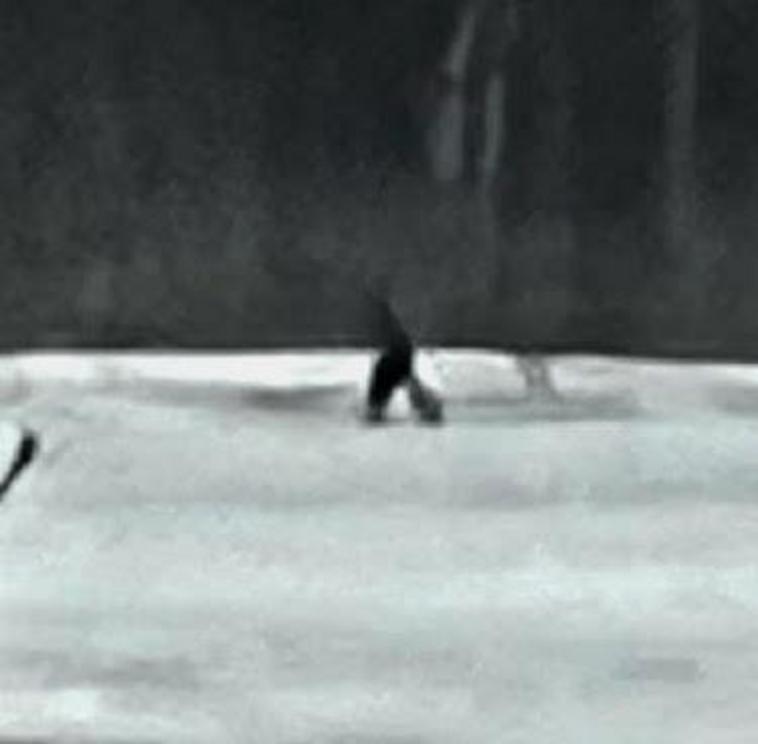 Sasquatch observed near Radisson, Saskatchewan, Canada (photos) - Nexus ...