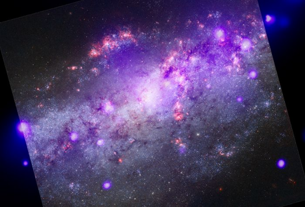 NGC 4490, the Cocoon Galaxy.