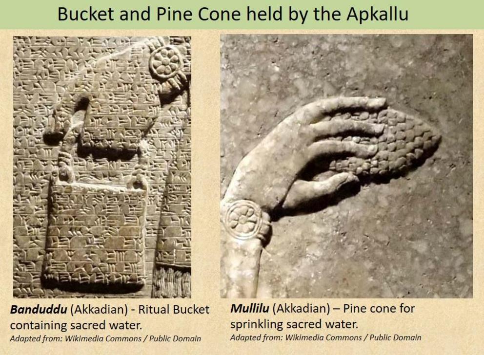 Figure 8: The Apkallu hold a ritual bucket containing sacred water (banduddu) in their left hand and a pine cone (mullilu) in their right hand for sprinkling the sacred water.