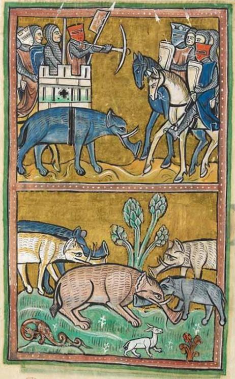 Elephants, who were thought to have been ridden into battle in India carrying castles on their backs. Rochester Bestiary (late 1200’s)