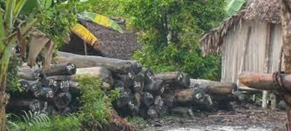 A stockpile of illegally harvested rosewood at the port of Rantabe, Madagascar, circa 2010.