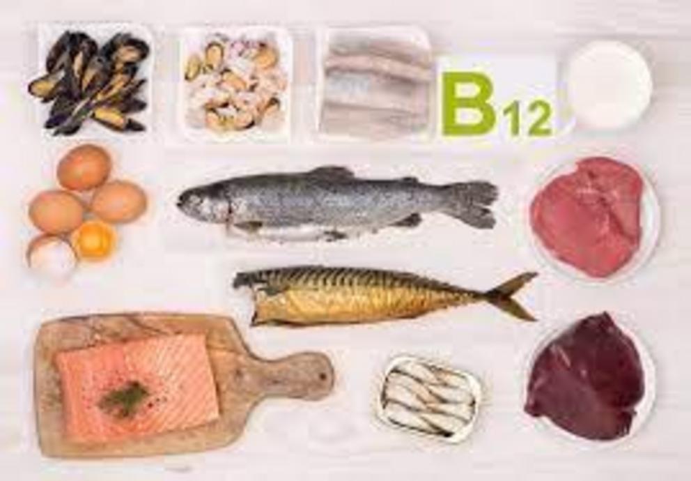 An array of vitamin B12-rich foods – all of which come from animals.