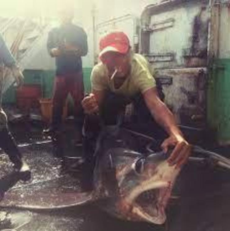 The same Long Xing 626 deckhand crouches over what experts said was likely a bigeye thresher shark (Alopias superciliosus).