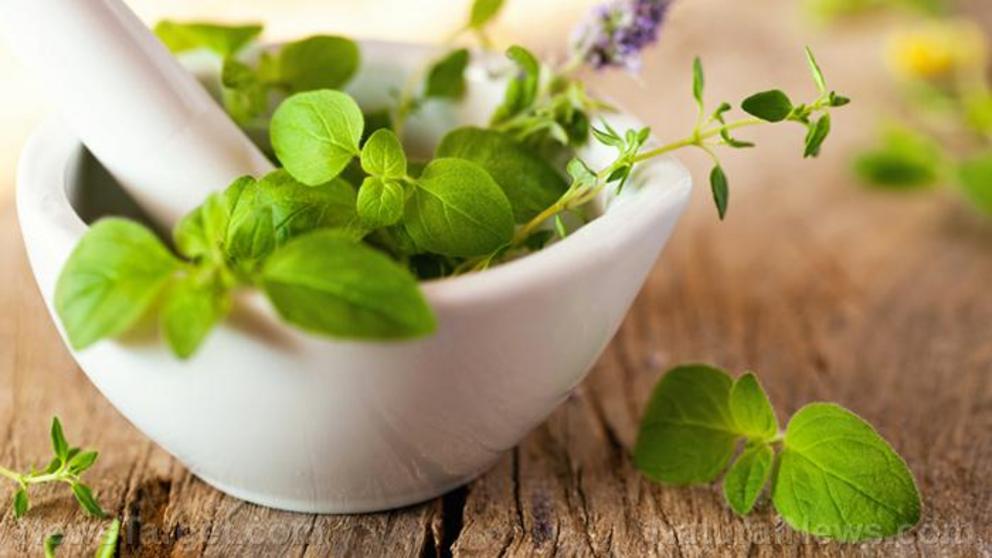 Top 10 ways to WARD OFF Fauci Flu that you may not know about Herbs-Leaves-1671111203477