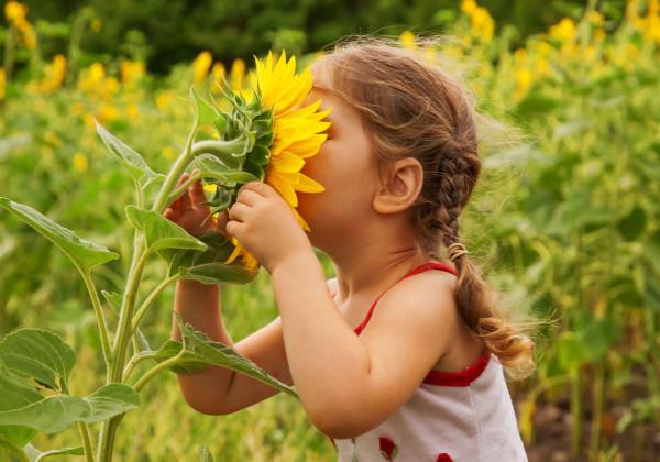 How to help children feel connected to the natural world - Nexus Newsfeed