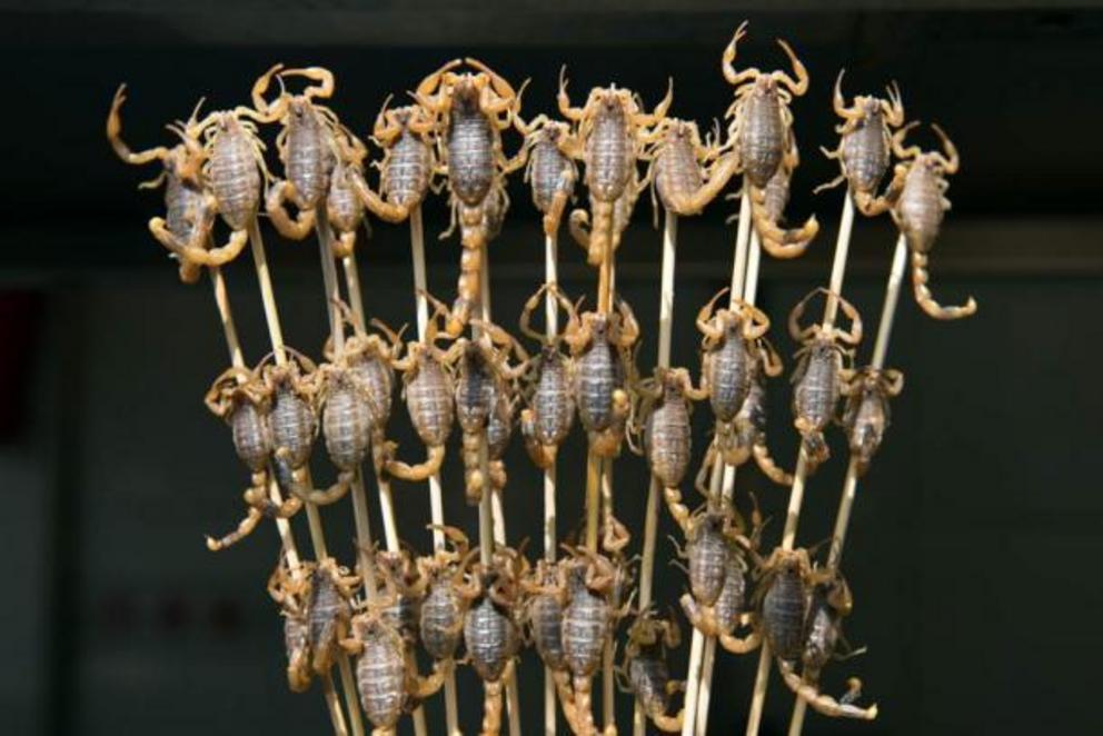 Grilled scorpions on a stick from Wangfujing street, Beijing, China.