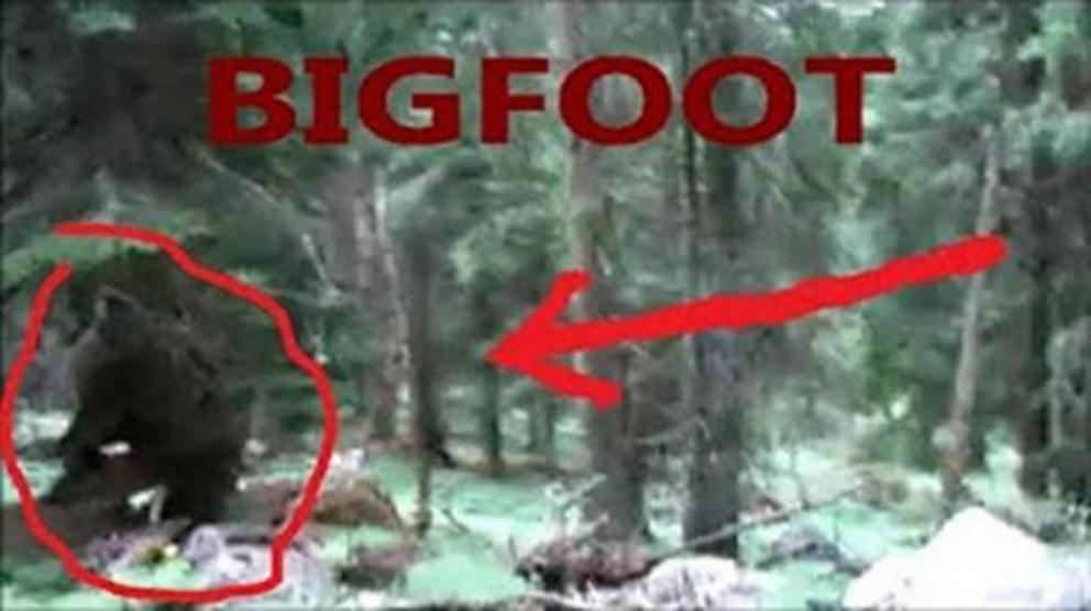 “Toward a Resolution of the Bigfoot Phenomenon,” usually just called the NASI Report, used detailed, forensic, computer analysis to examine the Patterson-Gimlin film great detail.