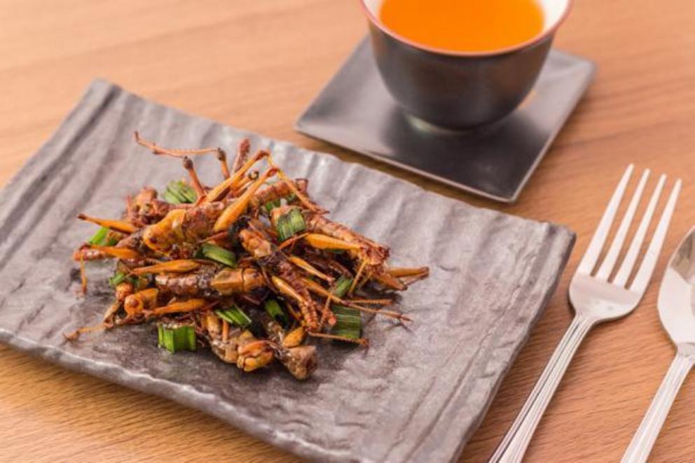 When it comes to eating insects, the fried version seems to be overwhelmingly the most popular cooking style.
