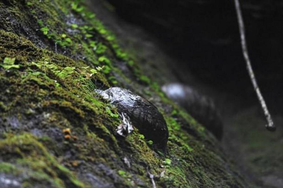 Stone eggs emerging from the egg-laying mountain in China.