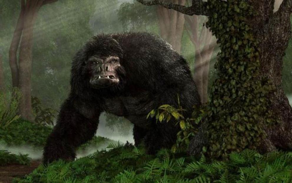 A huge hairy gorilla-like Bigfoot or Sasquatch glaring from a steamy forest.