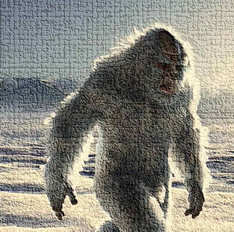 We are intrigued with the Yeti, both for its scientific importance and for what it says about our own human interests and biases. If the Yeti is an old human-like form that we have driven into the mountains, it seems our current goal is to display them in