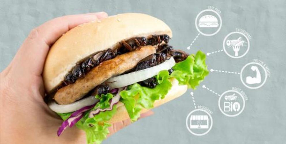 The modern cricket burger is already for sale in places like the Netherlands and one day we may have to resort more to eating insects as meat becomes too environmentally expensive.