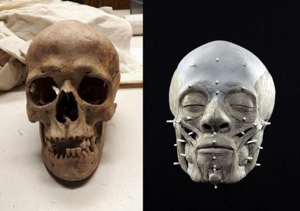 In order to create the reconstruction of the Stone Age woman, Oscar Nilsson scanned the ancient skull before creating a life-sized replica and layering on clay to represent her facial muscles.