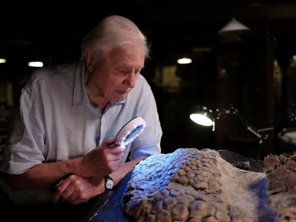 Sir David Attenborough will narrate the upcoming BBC documentary. 