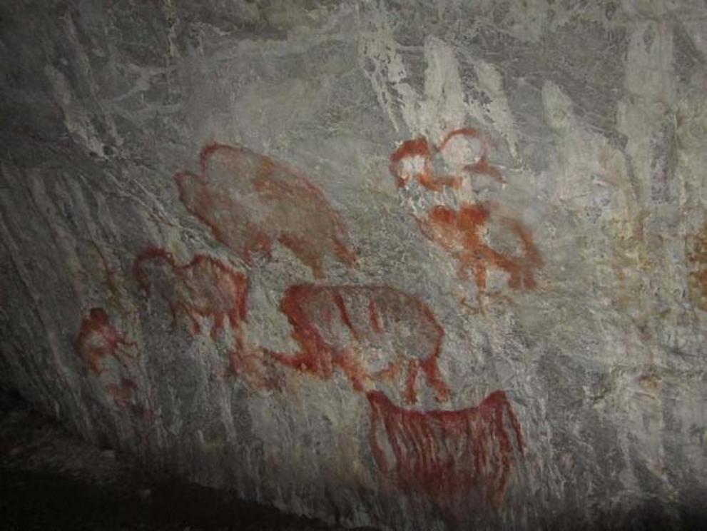 Kapova Cave paintings of bison in the southern Urals.