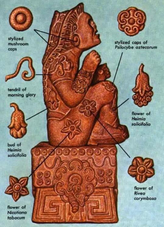 Xochipilli, Aztec god of flowers, from book Hallucinogenic Plants by Richard Evans Schultes, with Teotlnanáctl mushrooms motifs on his knees and ears.