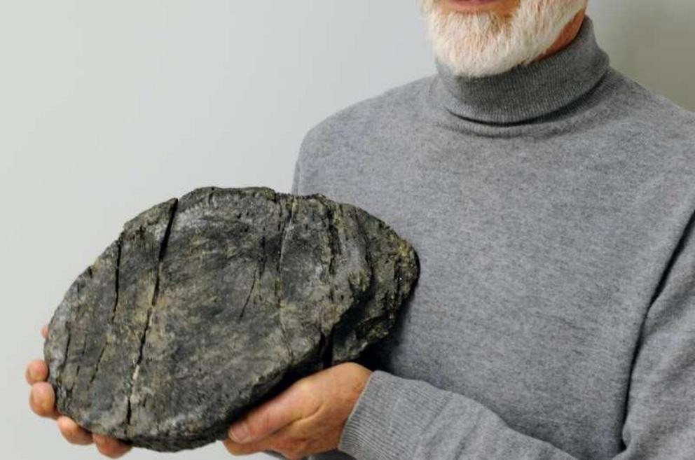 Heinz Furrer with the largest ichthyosaur vertebra.