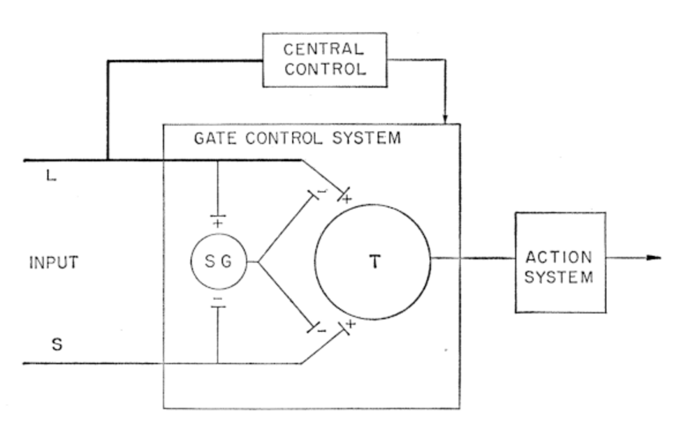 The Melzack-Wall Gate Control System (from Melzack and Wall) L = large diameter nerve fibers, S = small diameter nerve fibers. The fibers project to the substantia gelatinosa (SG) and first central transmission (T) cells. Activity in large fibers inhibits