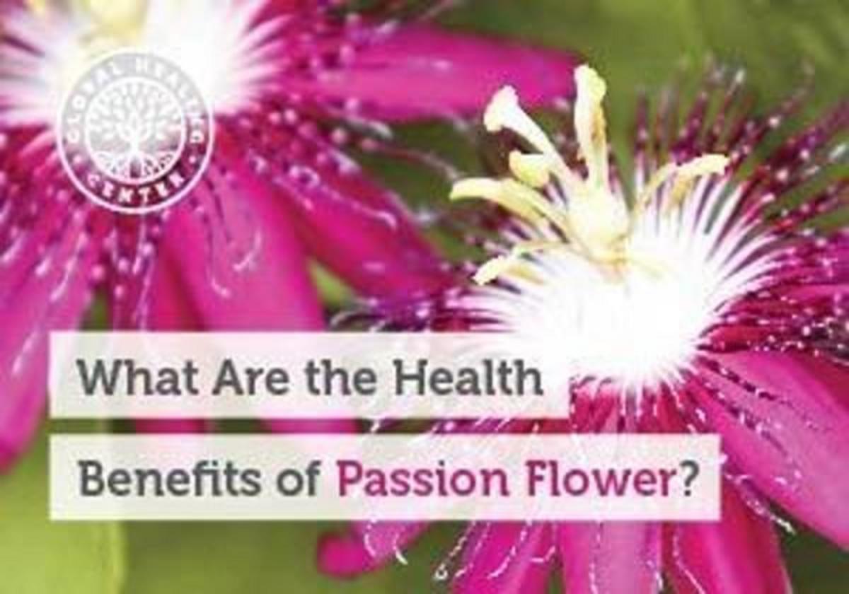 what-are-the-health-benefits-of-passion-flower-nexus-newsfeed