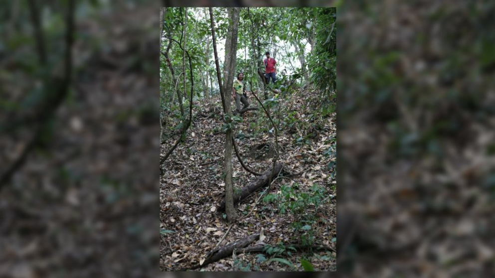 Co-author Carla Jaimes Betancourt descending from the central pyramid of the Cotoca site.