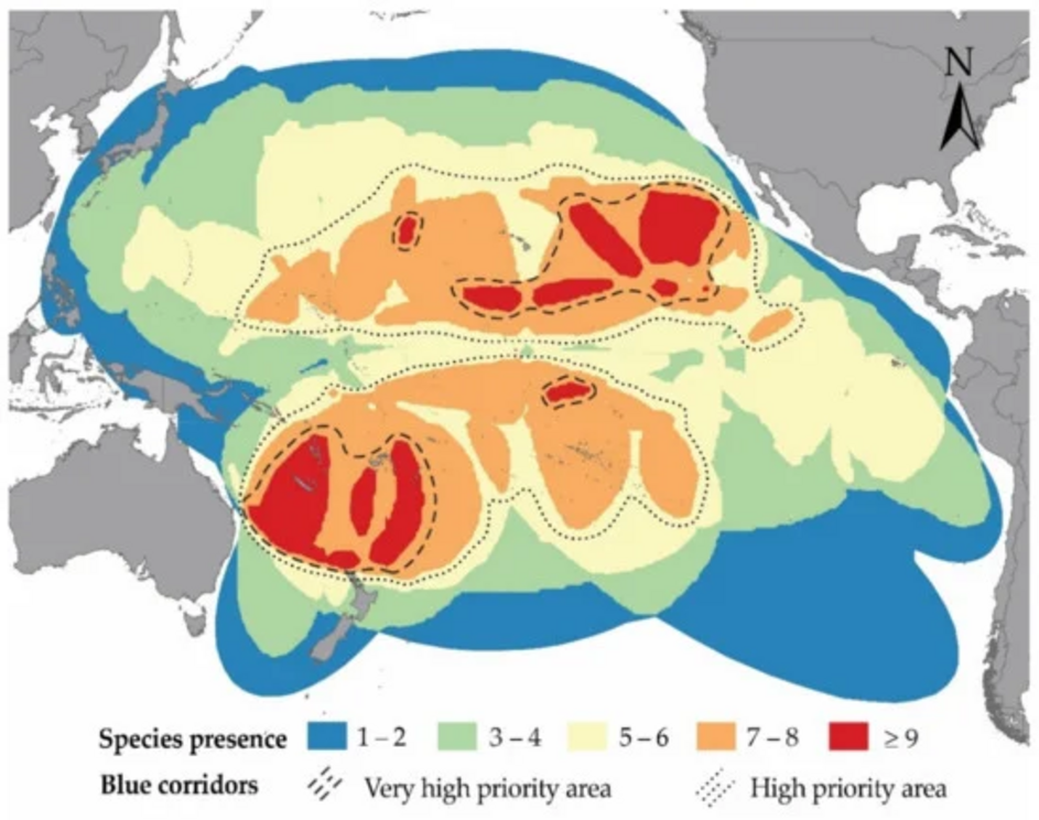 Habitat use maps for large pelagic species in the Pacific, generated by superposing the habitat use maps of the different stocks.