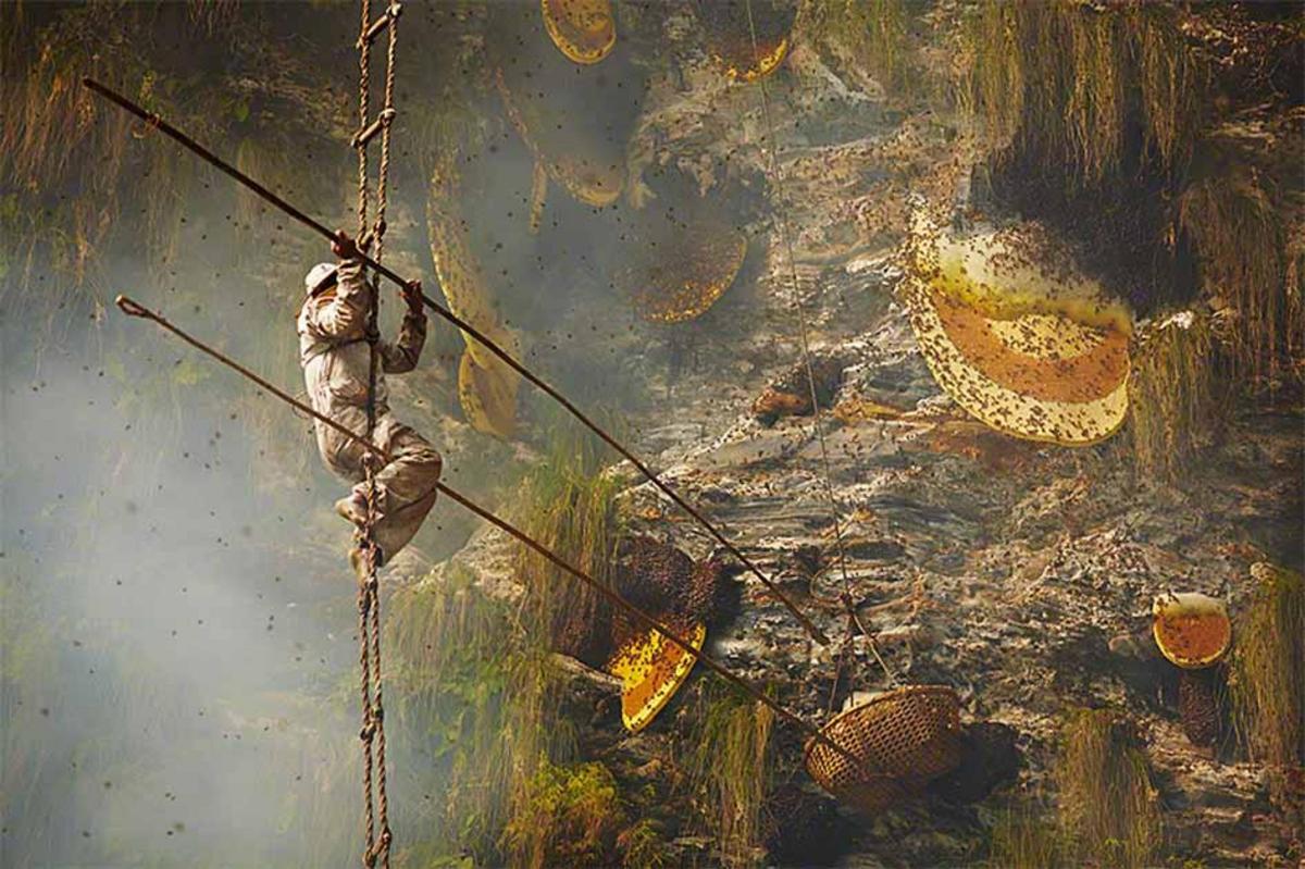 the-ancient-art-of-honey-collecting-on-the-himalayan-cliffs-of-nepal