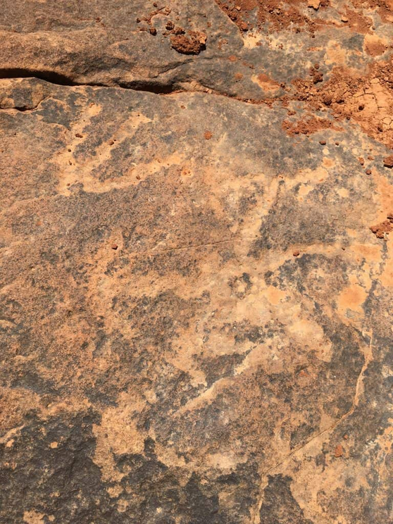 Another example of the rock engravings found near Lake Hart, inside the Woomera Prohibited Area.