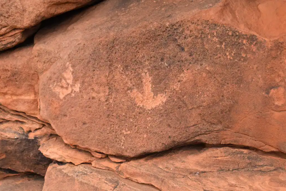 An example of the petroglyphs - or rock engravings - found near Lake Hart inside the Woomera Prohibited Area.