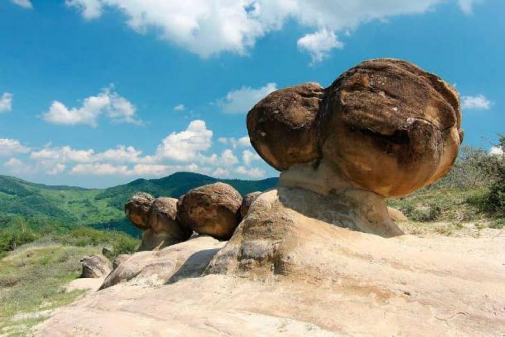 These trovants or living and moving geological formations are located near Ulmet in the Buz?ului Mountains of Romania.