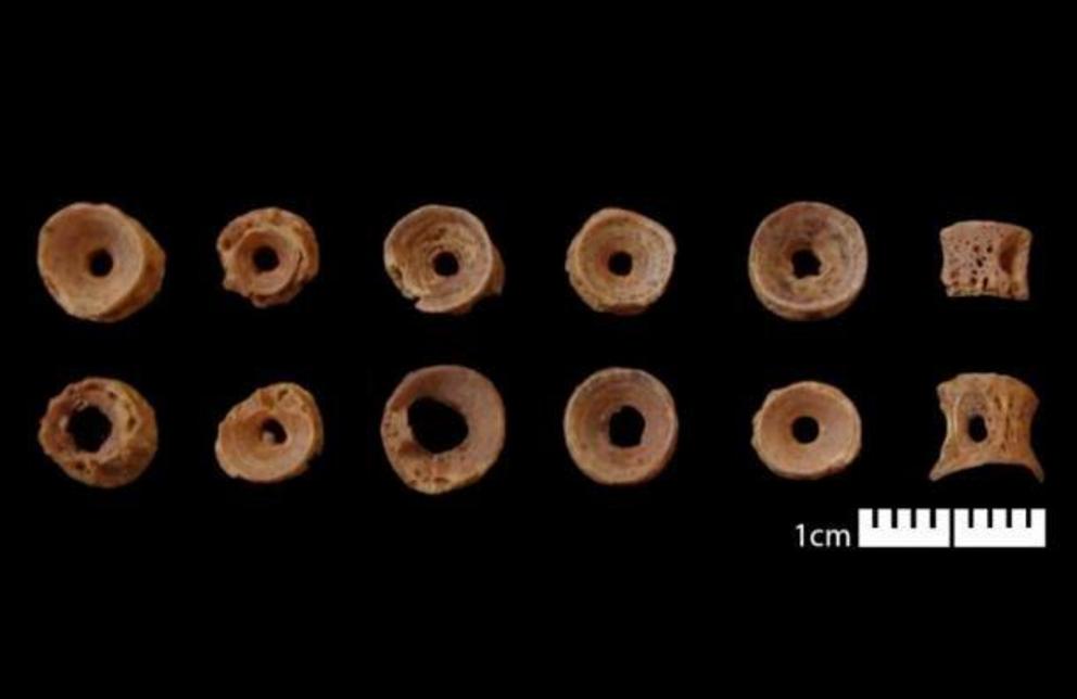 These are the oldest prayer beads ever found in England, which were recently unearthed on the Holy Island of Lindisfarne as part of an ongoing crowdfunded archaeological project.